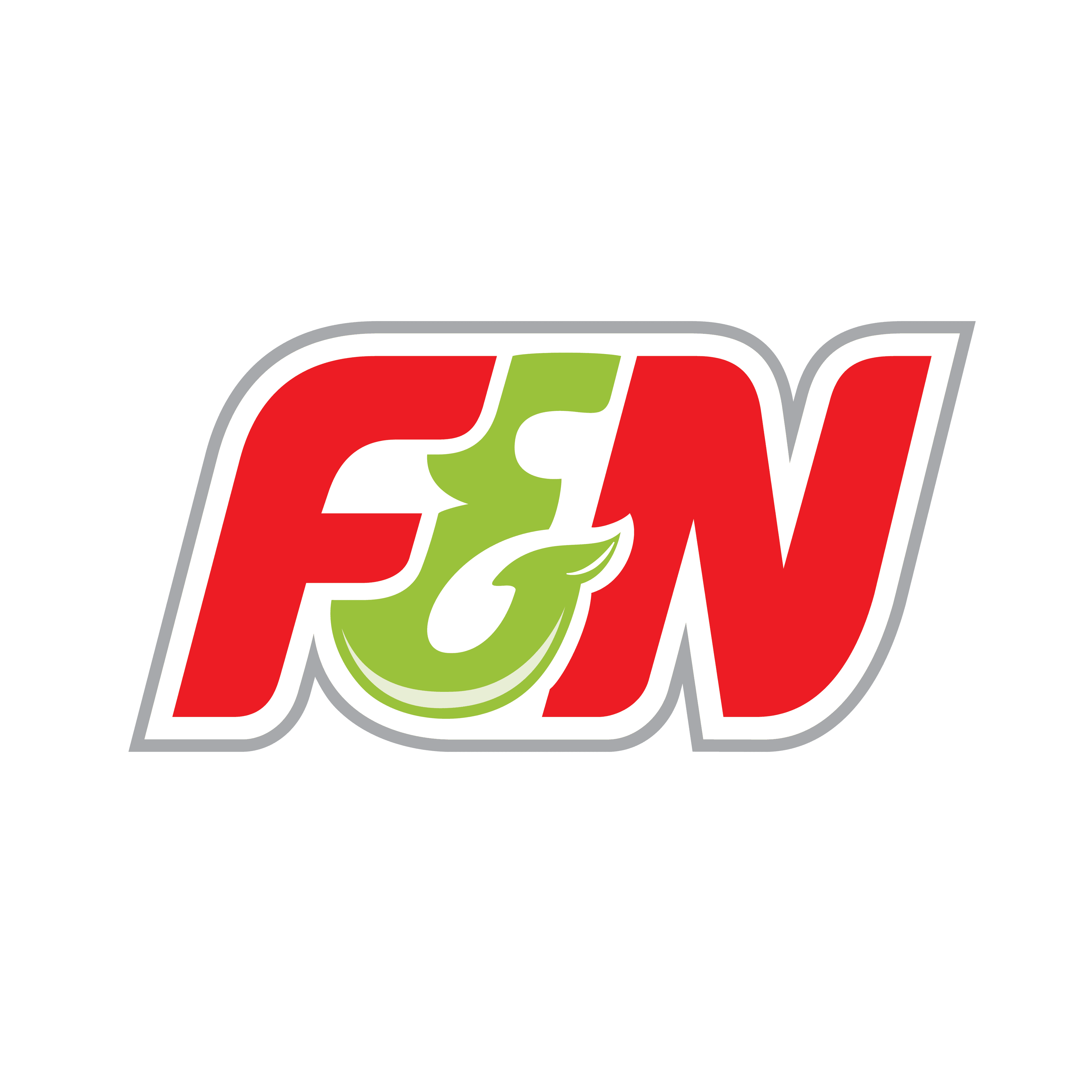 F&N logo